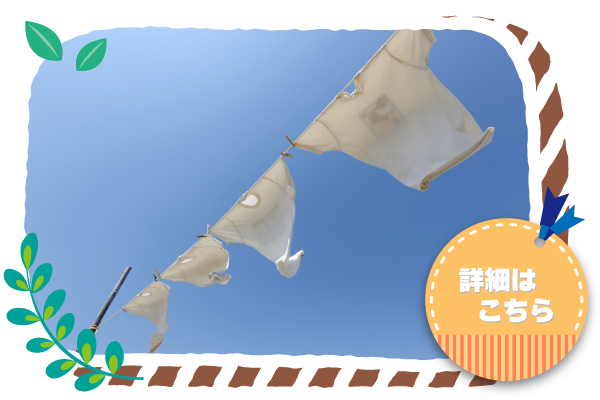 ポケットハウス